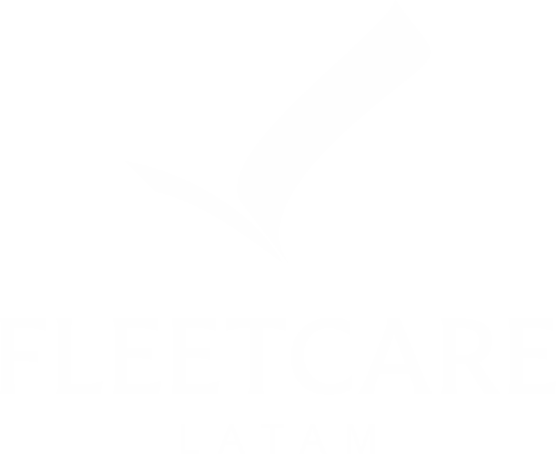 Fleetcare latam piezas OEM para camiones logo 2b